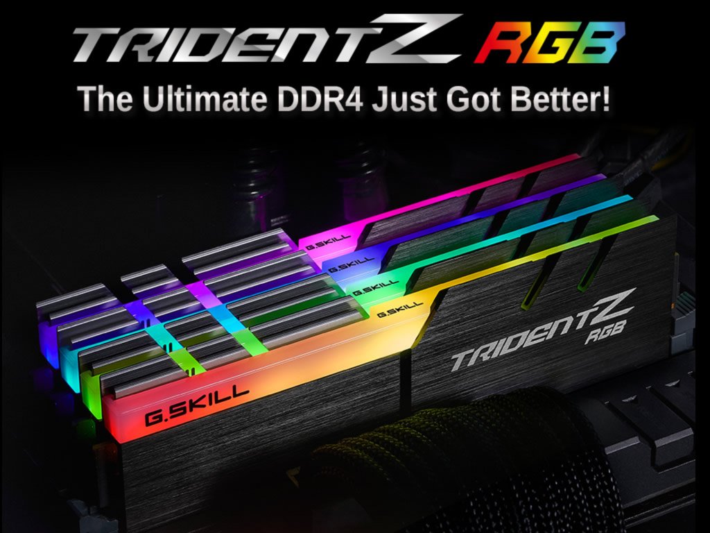 G.Skill F4-3000C16D-16GTZR Trident Z RGB 288pin DDR4-3000 CL16-18