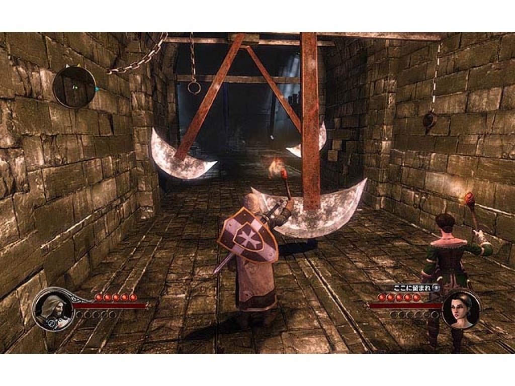 ザ ファースト テンプラー 日本語版 g6bh9ry ズー ザ ファースト テンプラー 日本語版 国内代理店(日本語)版