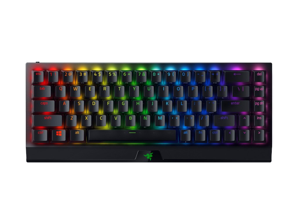 レイザー BLACKWIDOW V3 MINI USキーボード 英語キーボード 5f8e59fe02ea9c98a49665095a0c58