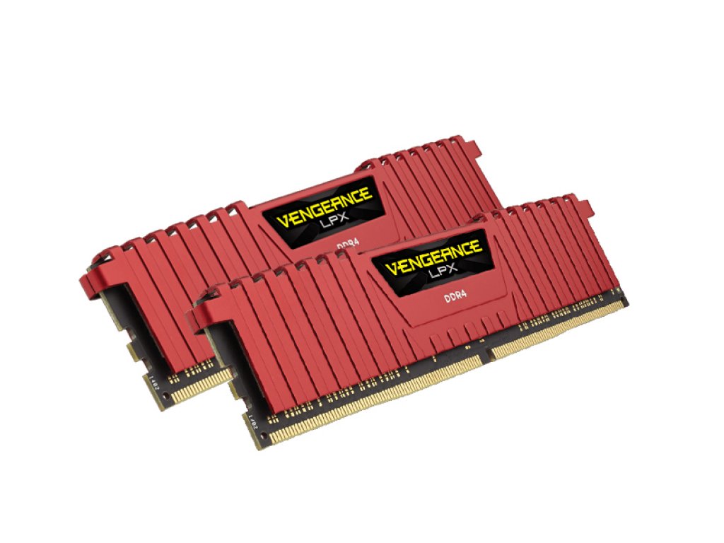 11758507.jpg?width=290