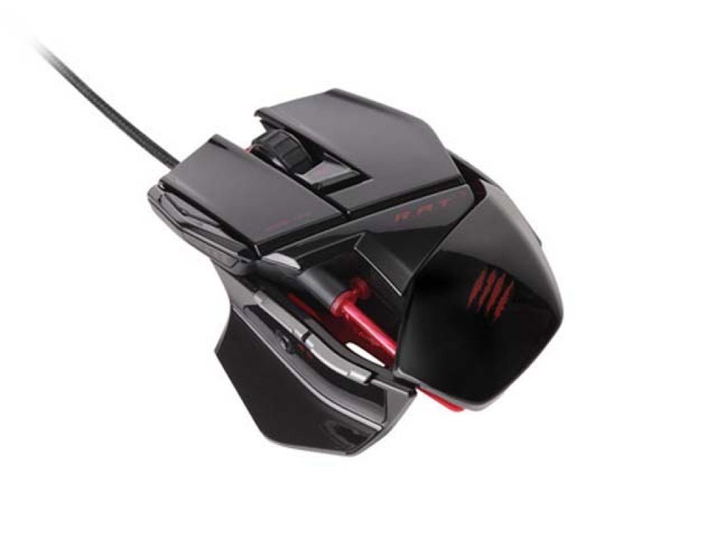 50281267.jpg?width=290