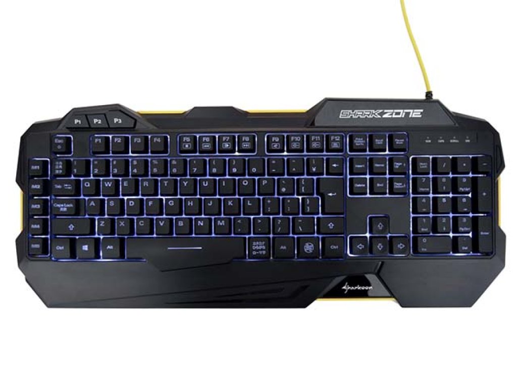 50282108.jpg?width=290