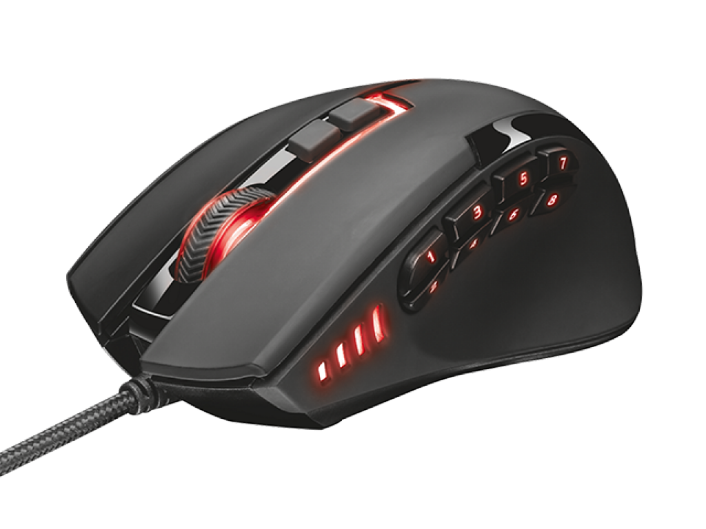 50282396.jpg?width=432