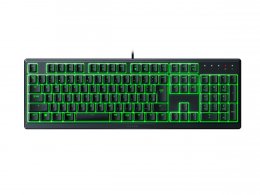 Ornata V3 X JP