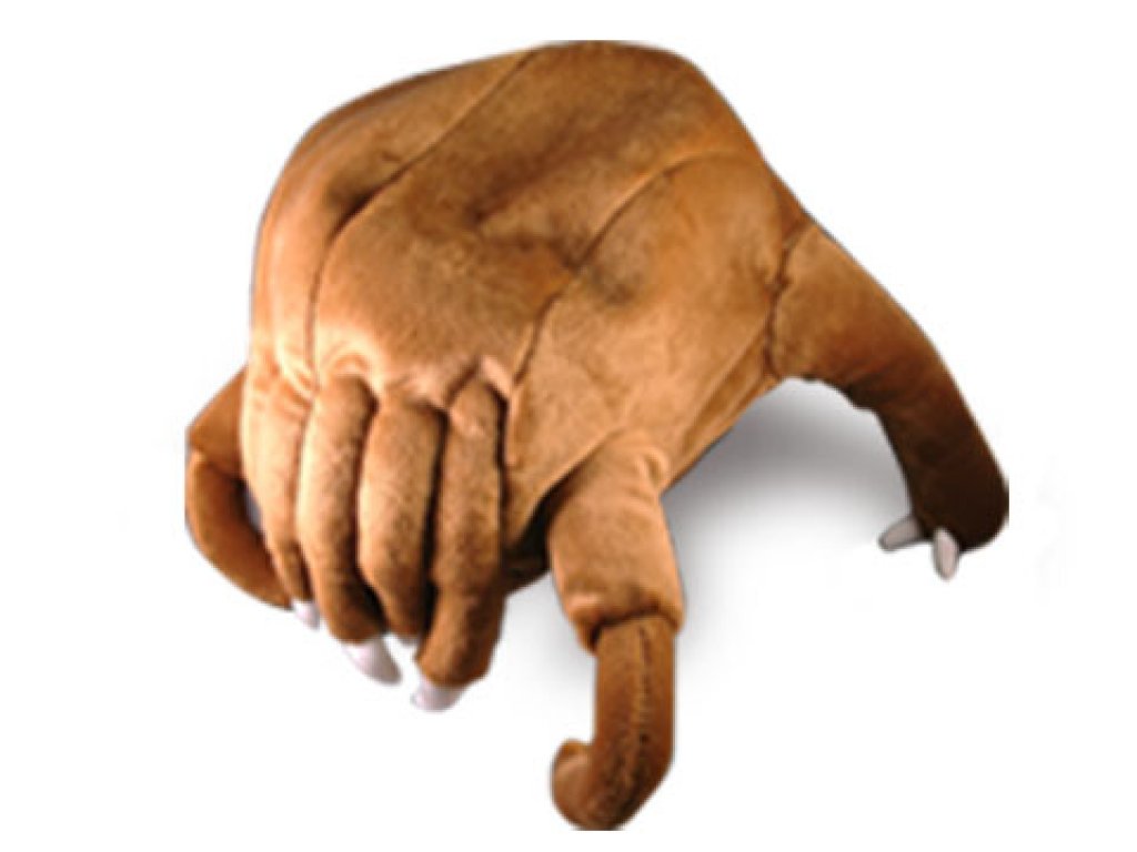 55002224.jpg?width=290