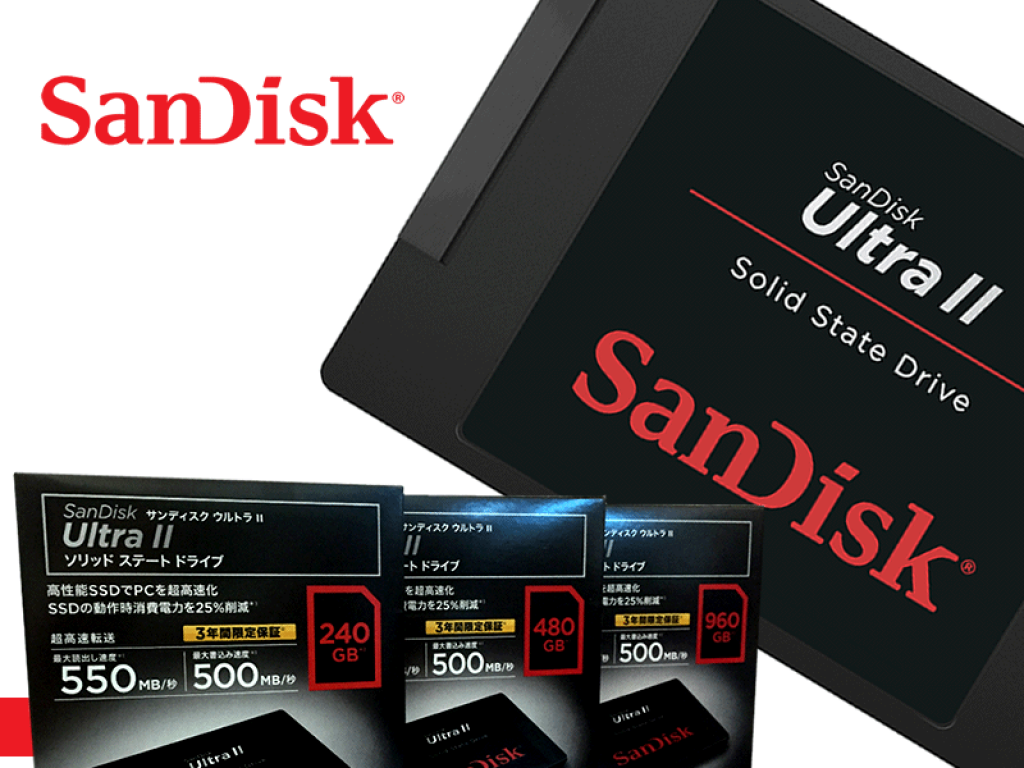 サンディスク SanDisk UltraⅡSSD 960GB管理No6 SANDISK（サンディスク