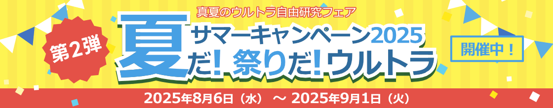 エレクトロニック・アーツ ザ・シムズ 3 ケイティ・ペリー