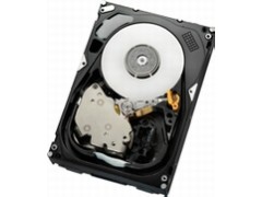 HGST HUS156030VLS600 300GB 15000rpm 6G/s SAS 64MB - 製品詳細