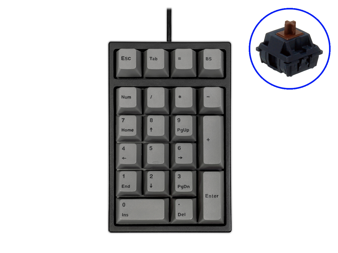 ARCHISS Maestro NPad CHERRY MX 茶軸 ARCHISS MAESTRO NPAD