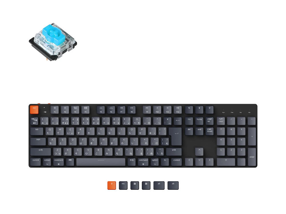 50284938.jpg