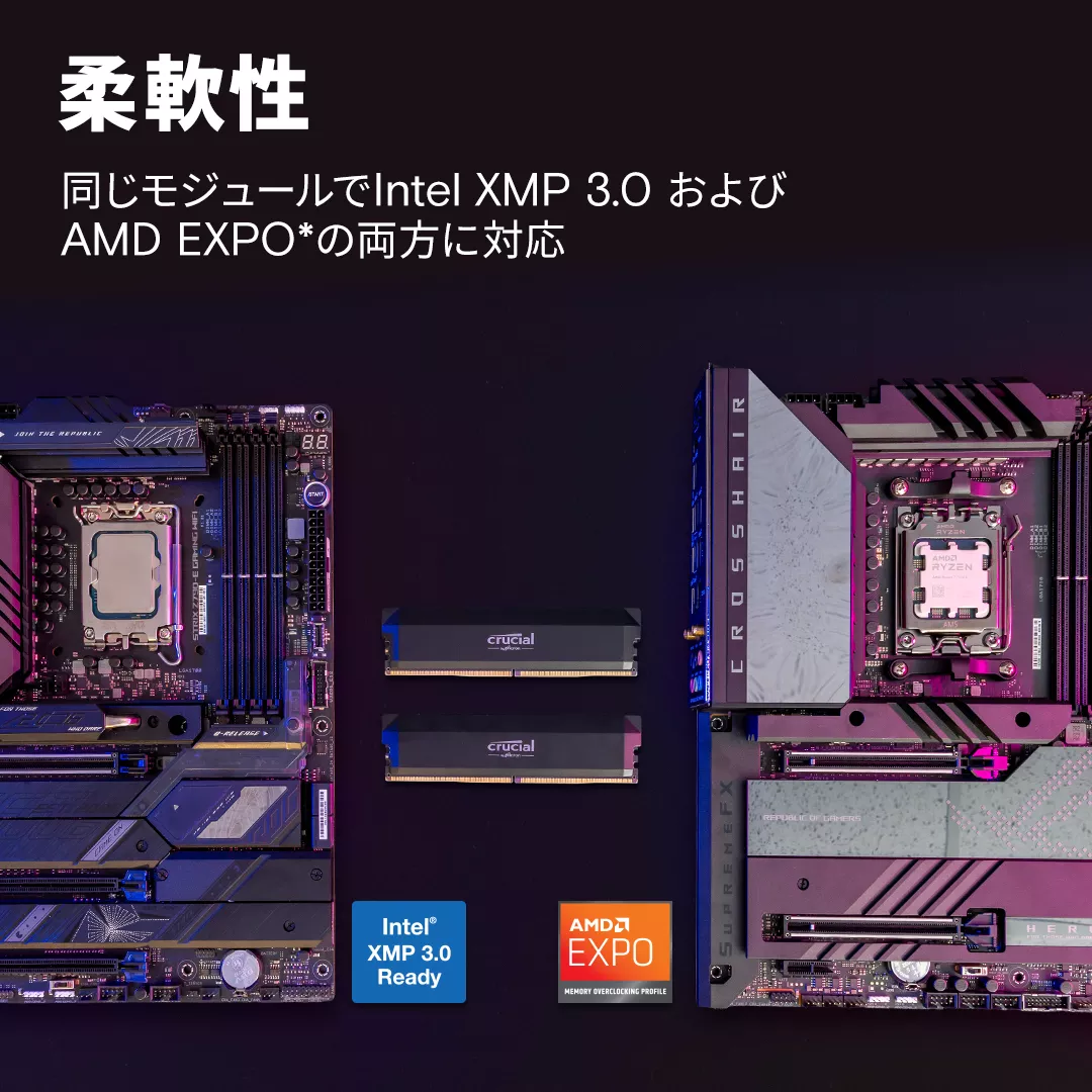 メモリー Crucial DDR5-6400 CP2K32G64C40U5B Crucial 64GB Kit (32GBx2) DDR5-6400 CSODIMM | CT2K32G64C52CS5