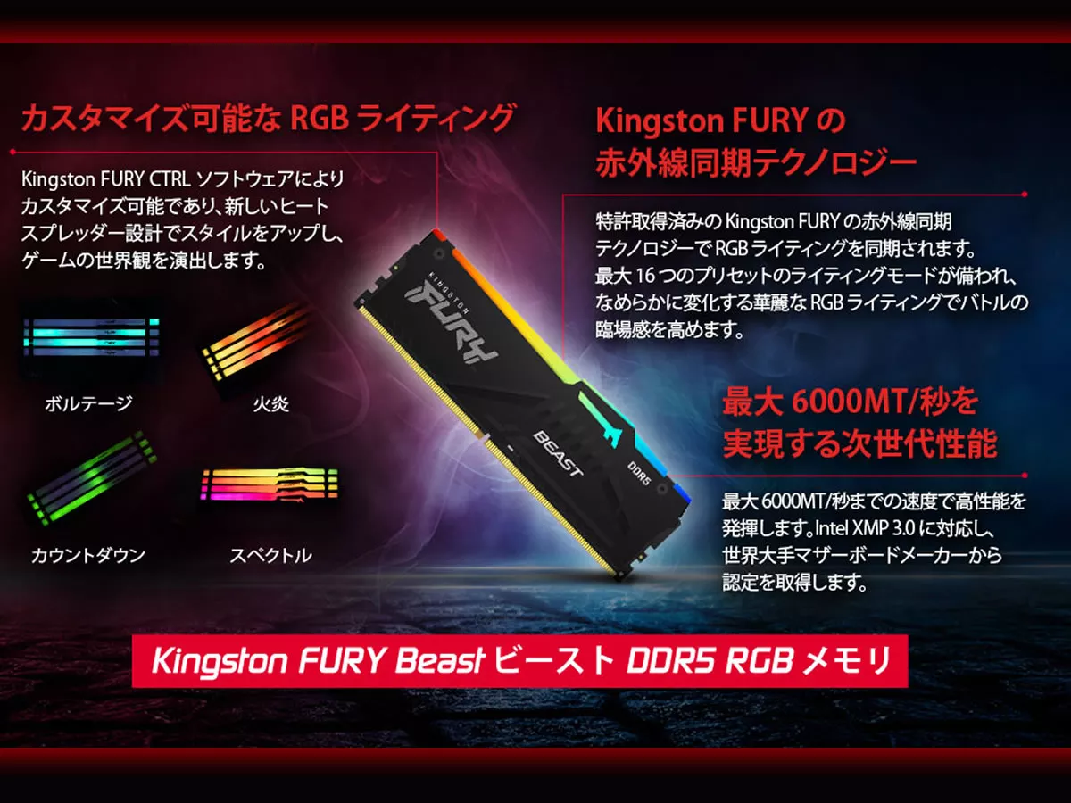 Kingston KF556C36BBEAK2-128 FURY Beast DDR5 RGB 288pin DDR5-5600