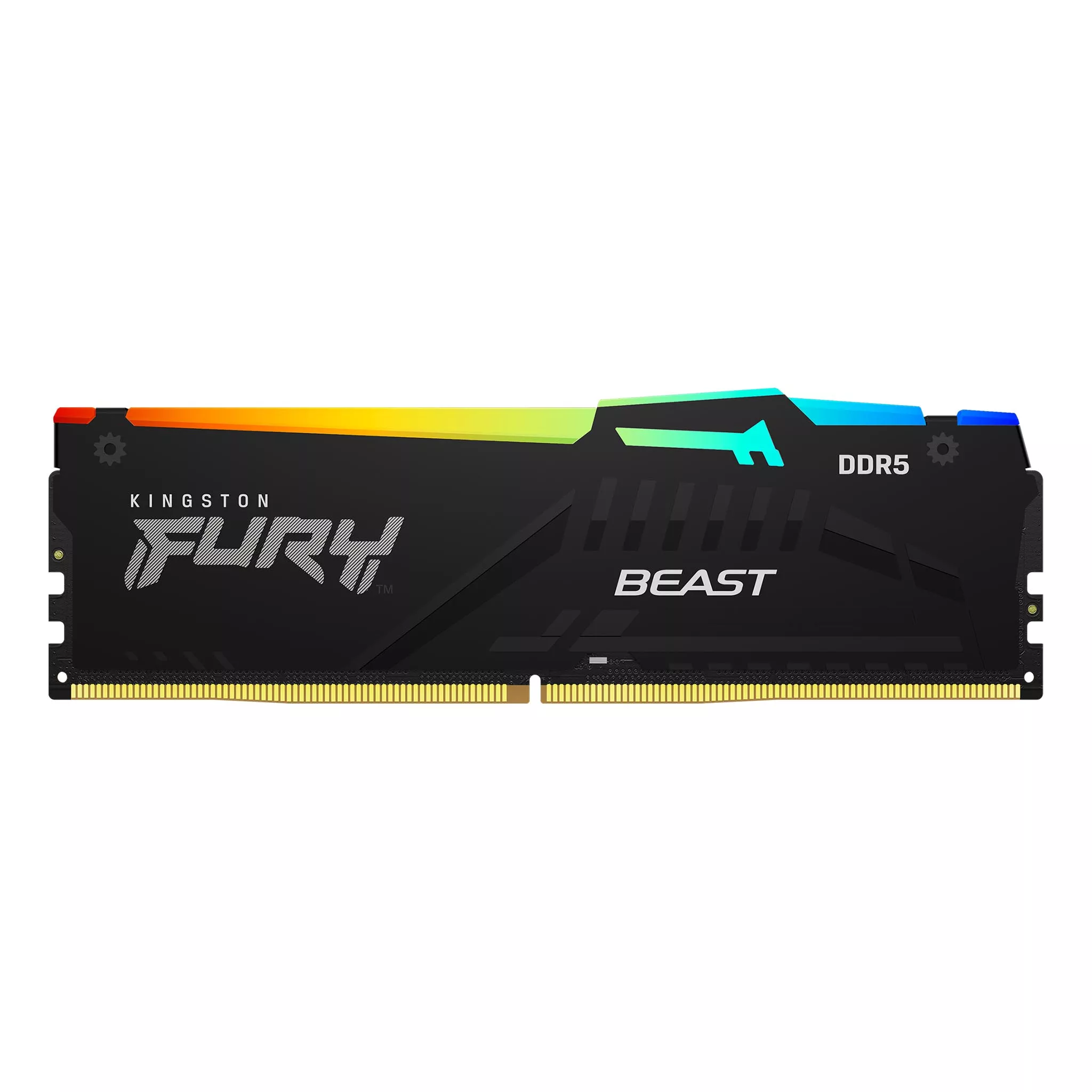 Kingston KF556C36BBEAK2-128 FURY Beast DDR5 RGB 288pin DDR5-5600