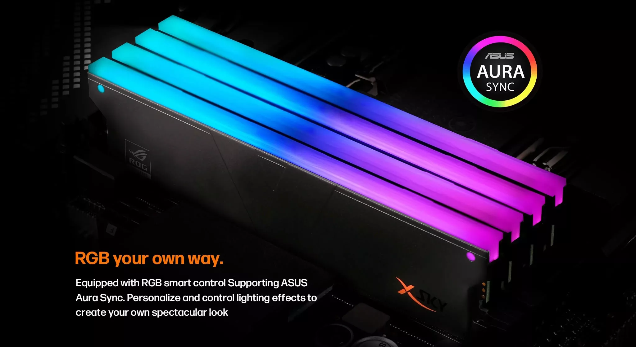 v-color　RTMXSL1664832KWK　DDR5 PC5-51200 16GB 2枚組 V-Color GTMXPL1664832KWK | パソコン工房【公式通販】