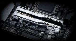 F5-8000J3848H16GX2-TR5NSのサムネイル(3)