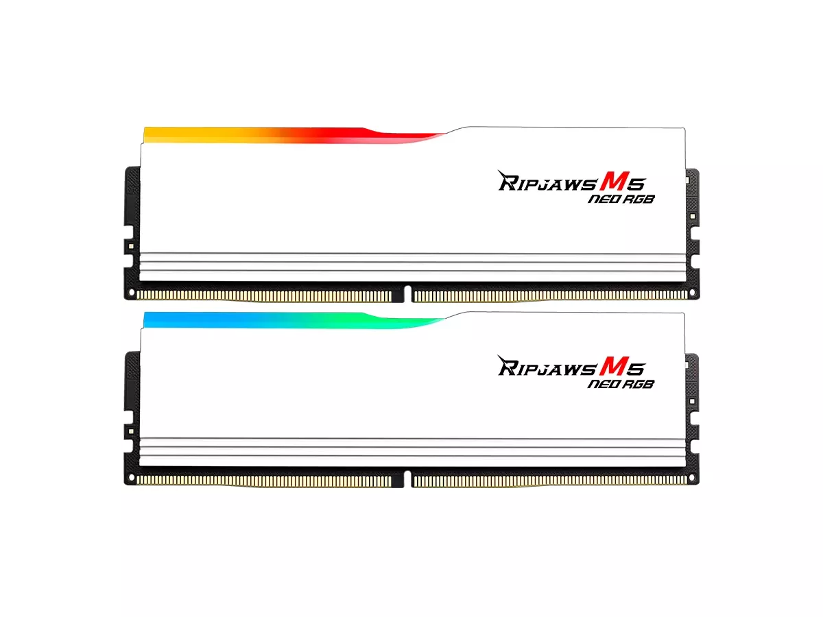F5-6000J3636F16GX2-RM5NRWのサムネイル(2)