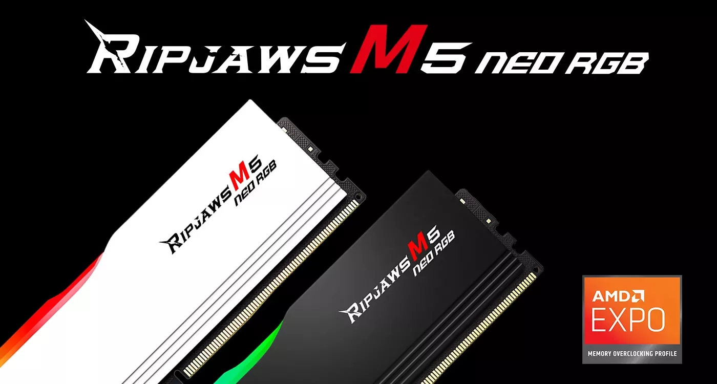 F5-6000J3636F16GX2-RM5NRWのサムネイル(5)