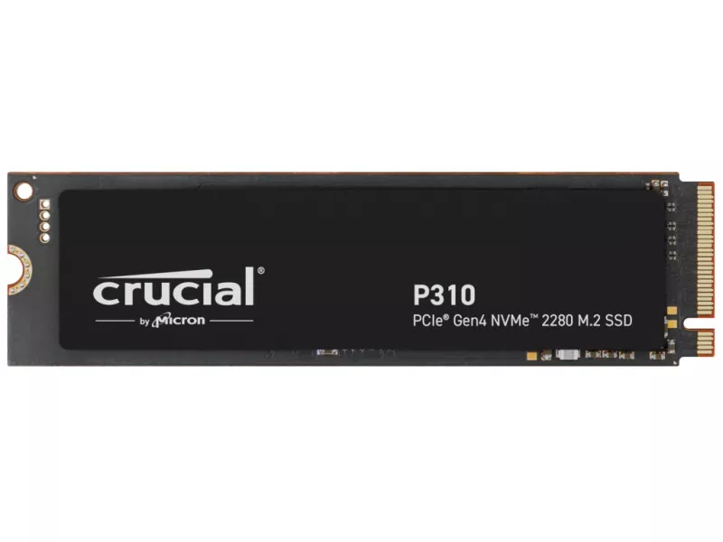 CT500P310SSD8-JPの商品メイン画像