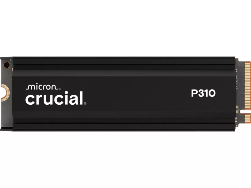 Crucial CT1000P310SSD5-JP P310 P310 1TB PCIe Gen4 NVMe 2280 M.2