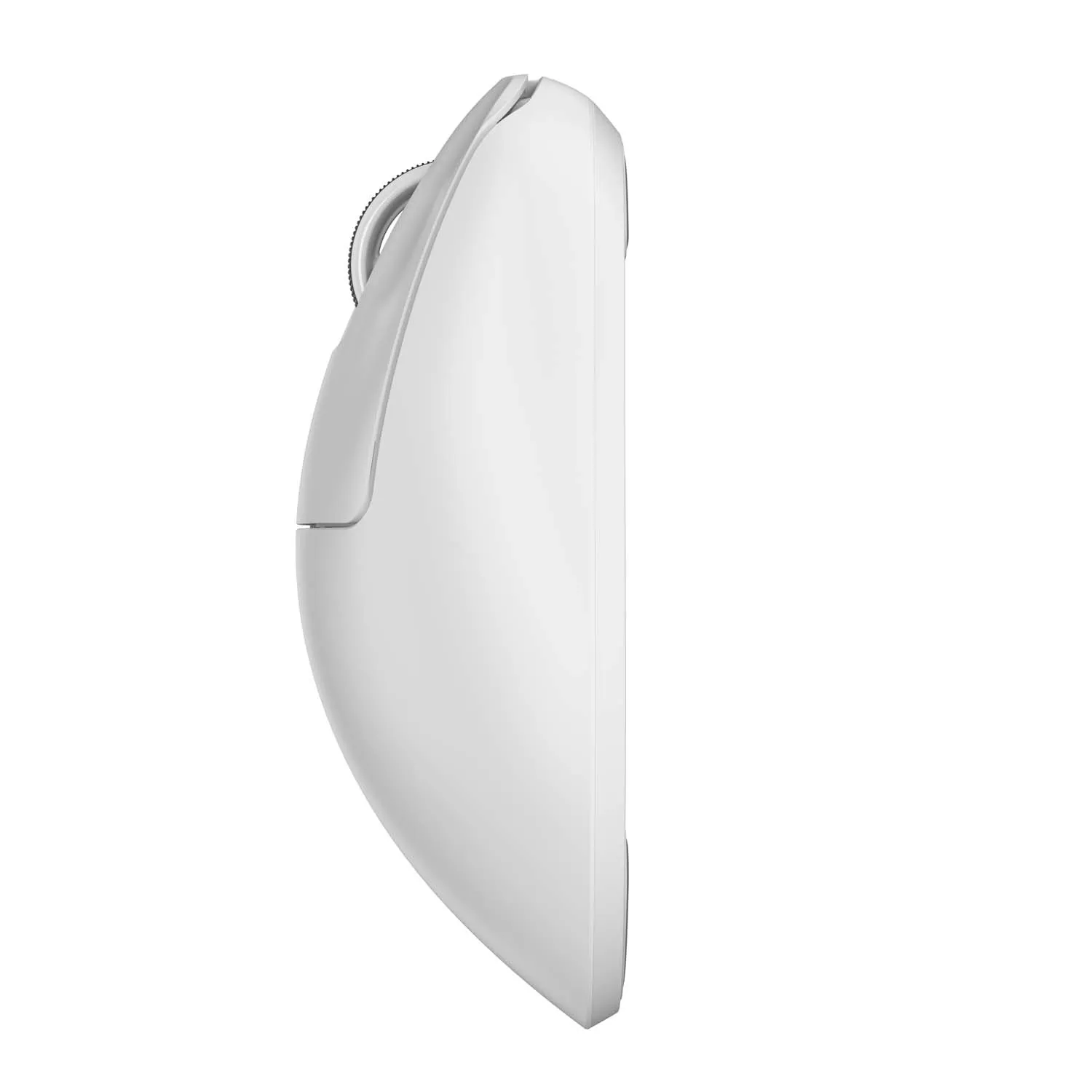 pulsar Xlite V3 ワイヤレスマウス サイズ2 ホワイト Amazon.com: Pulsar Gaming Gears - Xlite v3 Medium Wireless