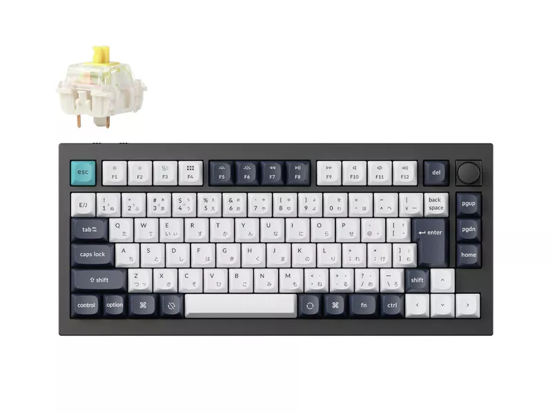 Q1 Max QMK/VIA ワイヤレス カスタム・メカニカルキーボード - RGB - JIS配列(テンキーレス)- カーボンブラック / Gateron Jupiter スイッチ(ホットスワップ)バナナ軸の商品メイン画像