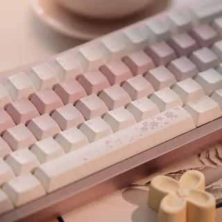 Varmilo Muse 65 Magnet Switch Wired Hot-Swap RGB 67 Keys Metal Gaming Mechanical Keyboard Sakuraのサムネイル(10)