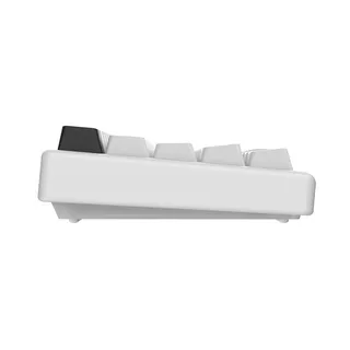 Arbiter Studio Polar 65 Pro Keyboard Kitsune White frameのサムネイル(2)