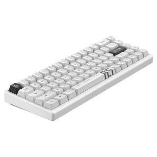 Arbiter Studio Polar 65 Pro Keyboard Kitsune White frameのサムネイル(6)
