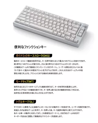 MAGENETIC KEYBOARD(RAPID TRIGER)VM75HE ブラックのサムネイル(11)