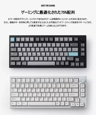 MAGENETIC KEYBOARD(RAPID TRIGER)VM75HE ブラックのサムネイル(15)