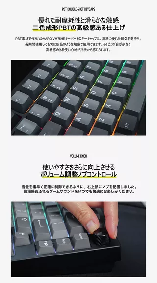 MAGENETIC KEYBOARD(RAPID TRIGER)VM75HE ブラックのサムネイル(17)