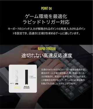 MAGENETIC KEYBOARD(RAPID TRIGER)VM75HE ブラックのサムネイル(19)