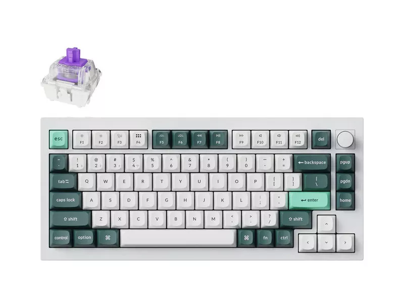 Q1 HE マグネットスイッチ搭載 QMKワイヤレス・カスタムメカニカルキーボード - RGB - US配列(テンキーレス)- シェルホワイト / Gateron Nebula(ホットスワップ)の商品メイン画像