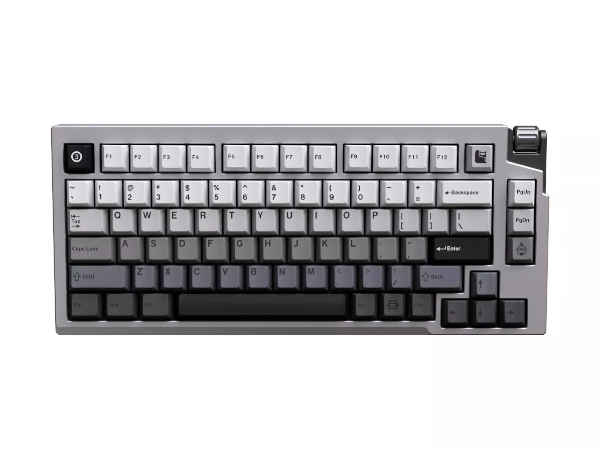 コラム】 ビカクシダ 2つの'ムーンライト'と'月光'（月光爪哇