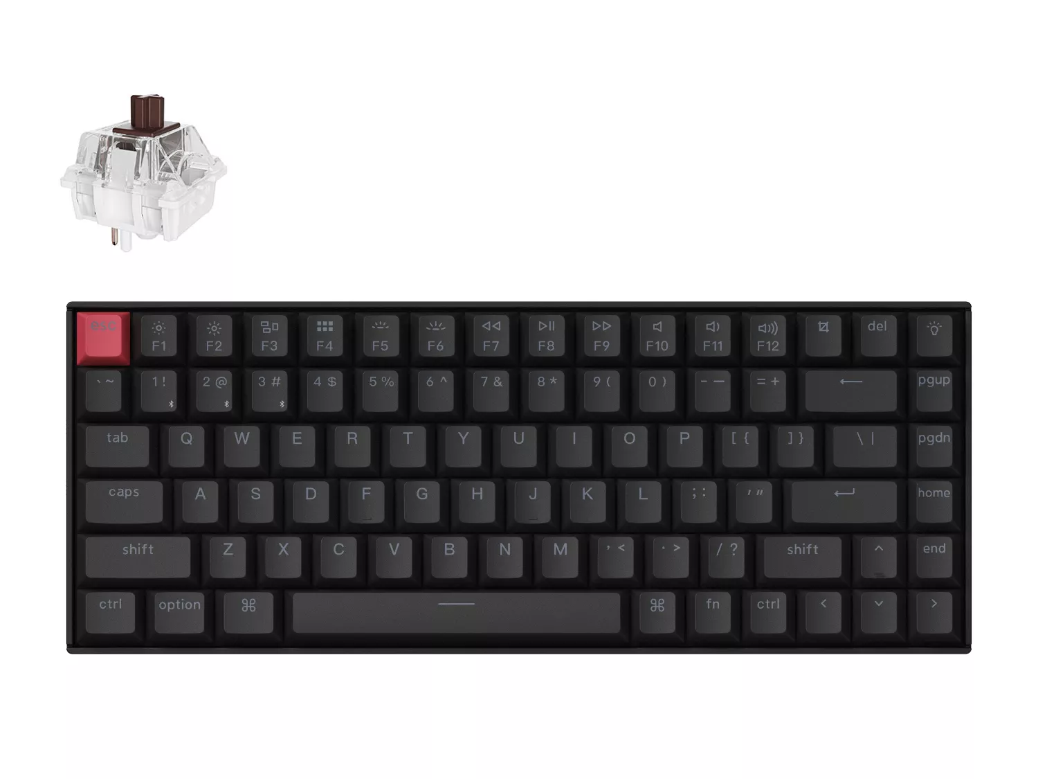 Amazon.com: Keychron K2 Pro Mechanical Keyboard with White