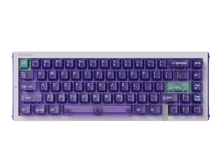 Wlmouse Miao 水色 Omron WLMouse Beast Miao - Wireless Gaming