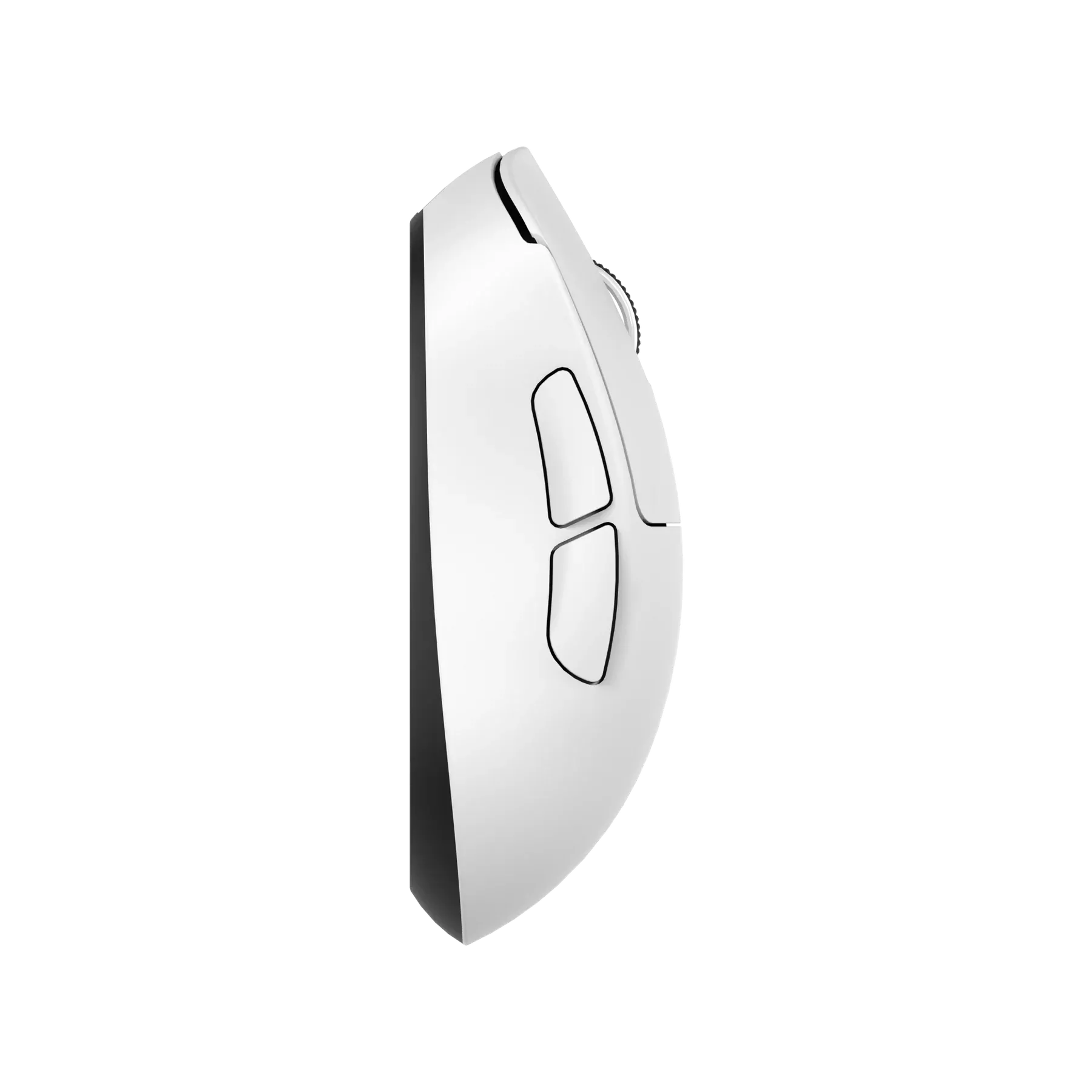 Teevolution Teevolution TERRA PRO White - 8K INCLUDED - 製品