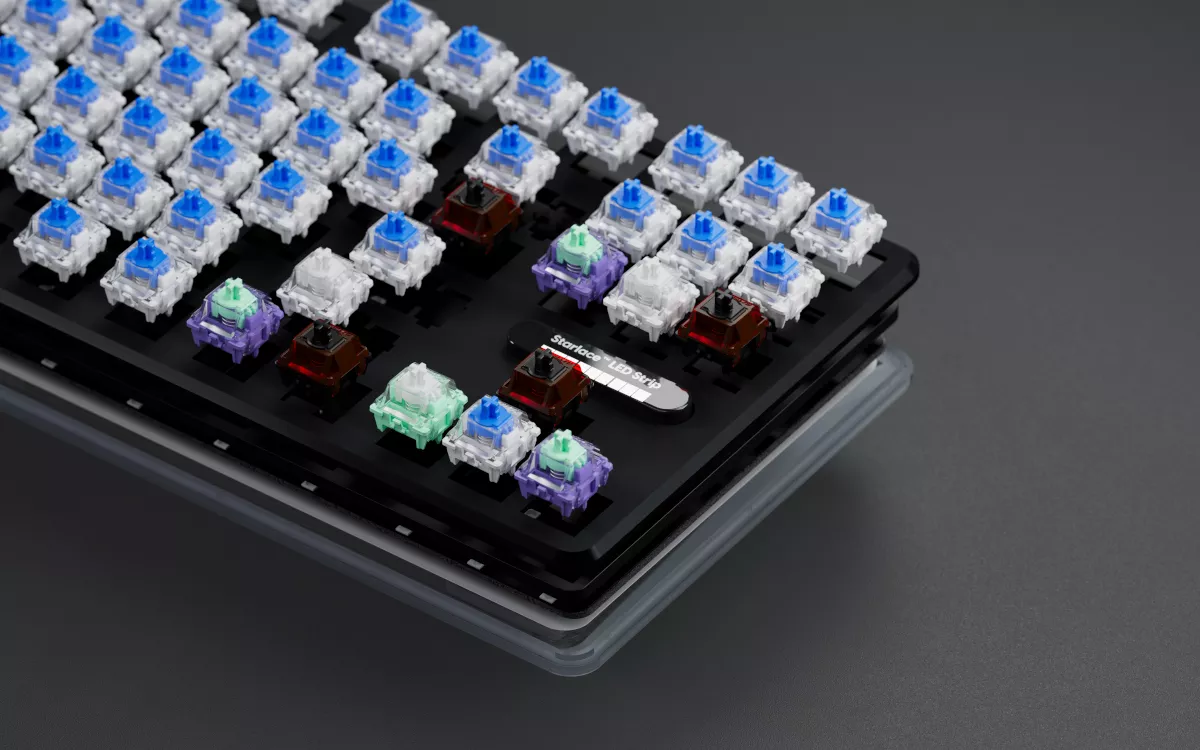 Pulsar Pulsar PCMK 3 HE TKL ANSI White PCMK 3 - 製品詳細