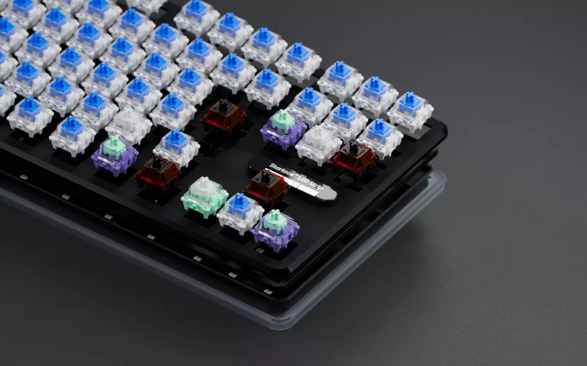 専用部品PC Pulsar Pulsar PCMK 3 HE TKL JIS Black PCMK 3 - 製品詳細 | パソコン