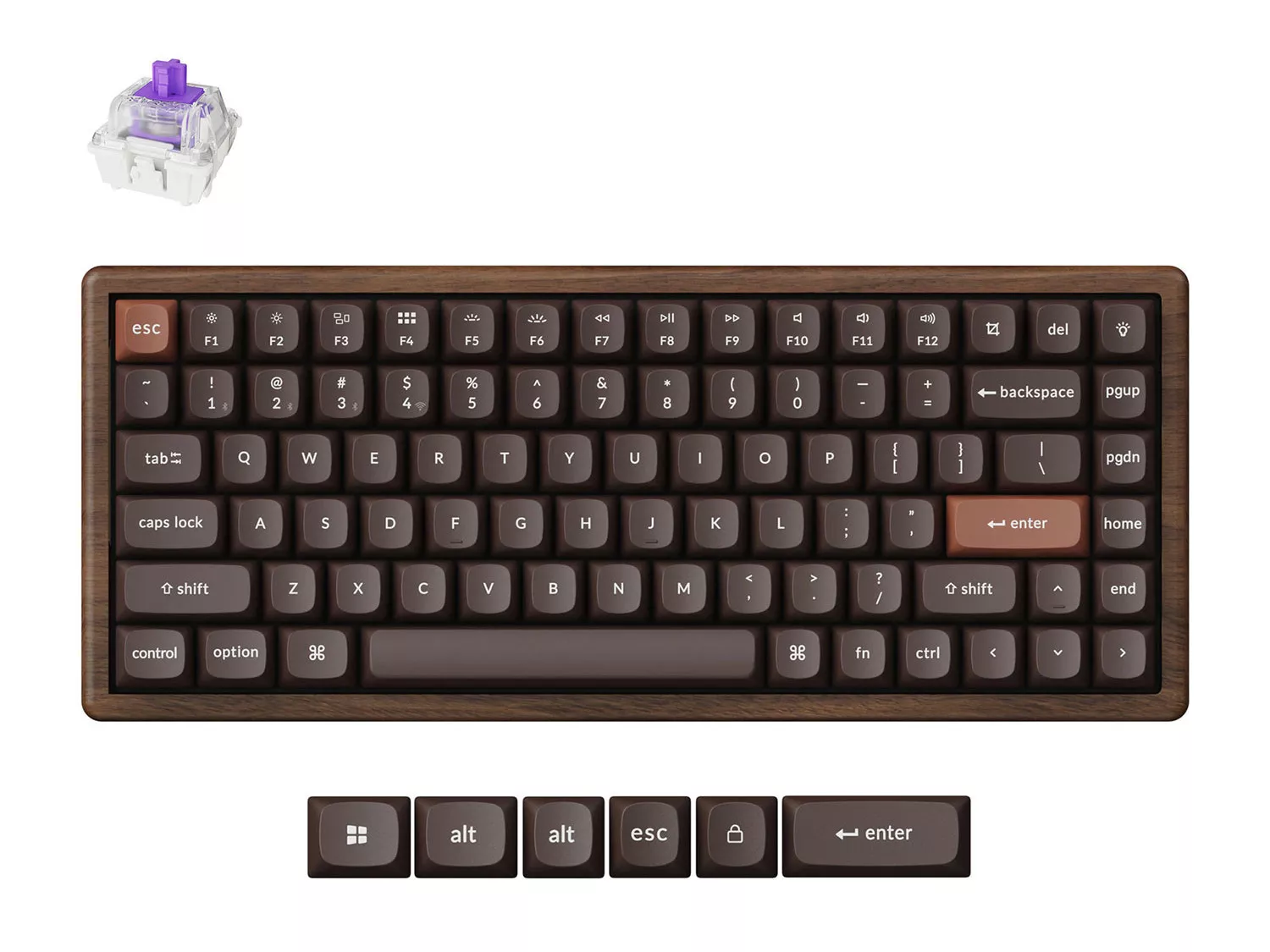 Keychron K2 HE 英語配列 【公式通販】